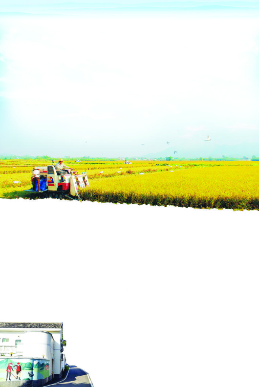     惠陽描繪“農業強、農村美、農民富”的農業農村現代化畫卷。