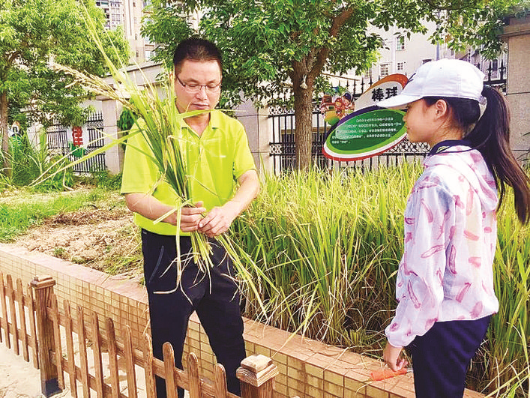 惠城區(qū)部分學(xué)校在校園內(nèi)設(shè)置“勞動(dòng)基地”,培養(yǎng)學(xué)生的動(dòng)手能力。