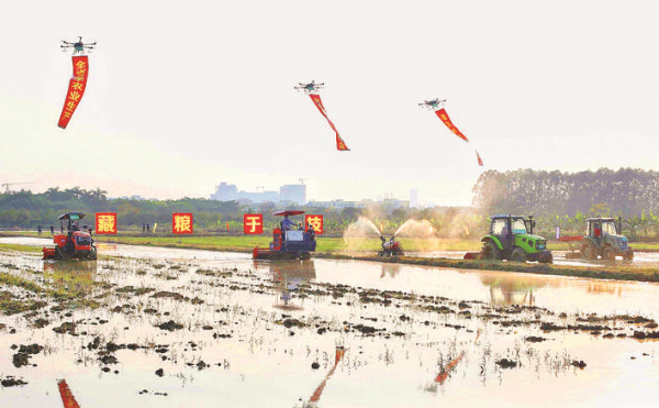     現場會上，農機啟動田間作業。惠州日報記者朱金贊 攝