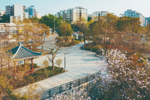 惠州著眼生態文明建設,不斷刷新城市顏值。