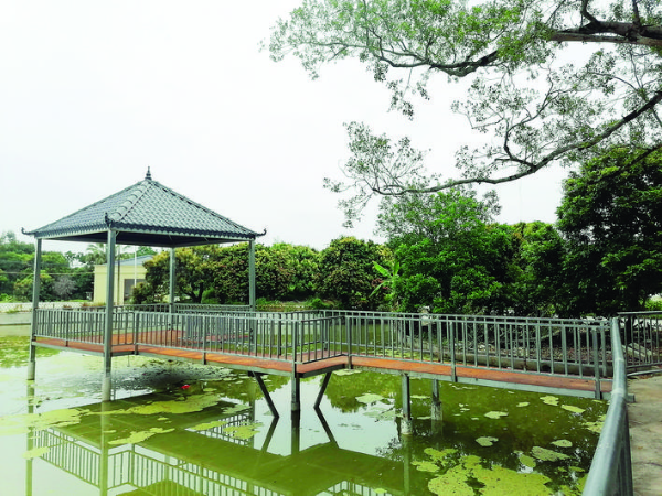 民宿旁的觀景臺。