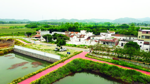 新光村珠江村民小組“一村一品”項目“漁趣村”是潼湖鎮鄉村振興示范帶節點之一。