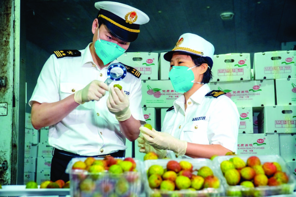 惠州海關關員在查驗出口荔枝。惠州日報記者劉煒煒 通訊員吳敏 攝