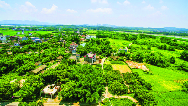     惠城區(qū)全力推動(dòng)高效利用土地工作質(zhì)量和效能“雙提升”。