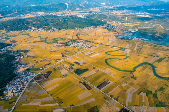 稔山鎮(zhèn)竹園村 稔山鎮(zhèn)竹園村