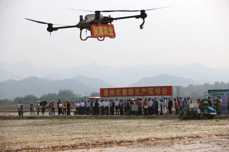 施肥無人機在作業中。 圖片
