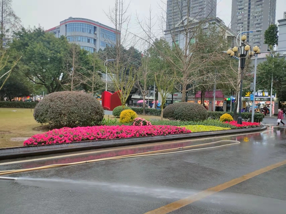 城市花境。銅梁區城市管理局供圖 華龍網發