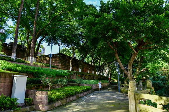 鳳山公園。銅梁區城市管理局供圖 華龍網發