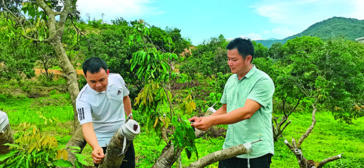 轉(zhuǎn)存圖片