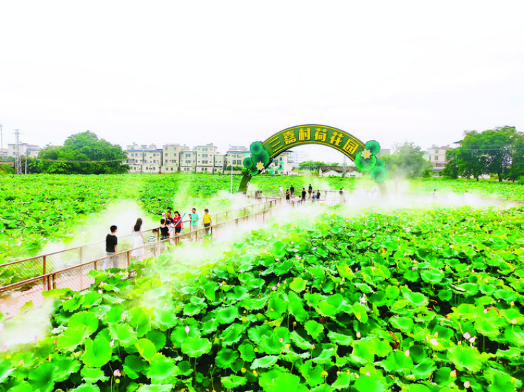 轉(zhuǎn)存圖片