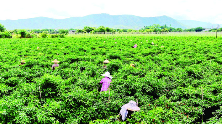 轉(zhuǎn)存圖片