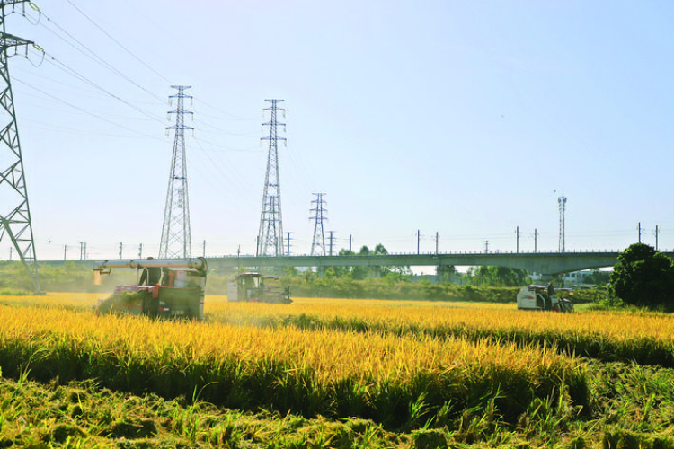 轉(zhuǎn)存圖片