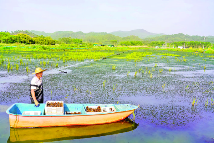 轉(zhuǎn)存圖片