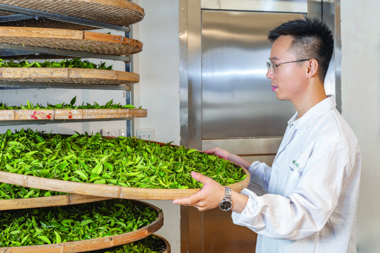 轉(zhuǎn)存圖片