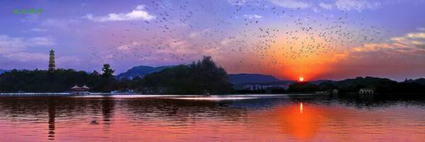 1471247564821037610.jpg E:u56fe片u60e0州圖片8,西湖生態600.jpg