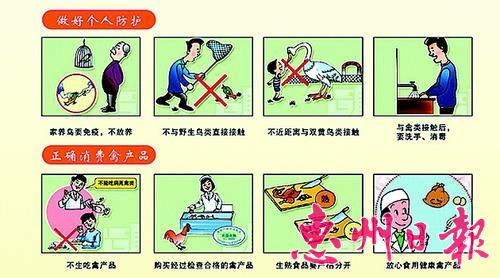 1487817894672068058.jpg A7CG223C_7-9.jpg