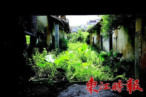 1513923934577071810.jpg C:UsersAdministratorDesktopA6c21C_5.jpg