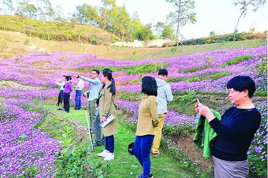 1517187898576028310.jpg C:UsersAdministratorDesktop