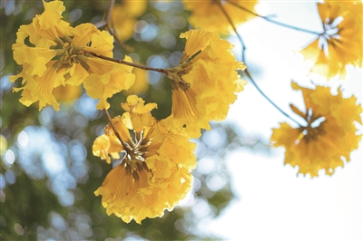 1551164073024029648.jpg A11b26C_11.jpg