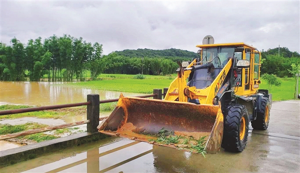 1560476703125060936.jpg A03b14C_12.jpg