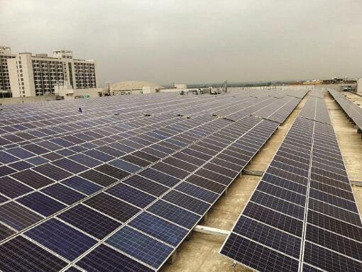 1560995352835088086.jpg 20190620-05.jpg